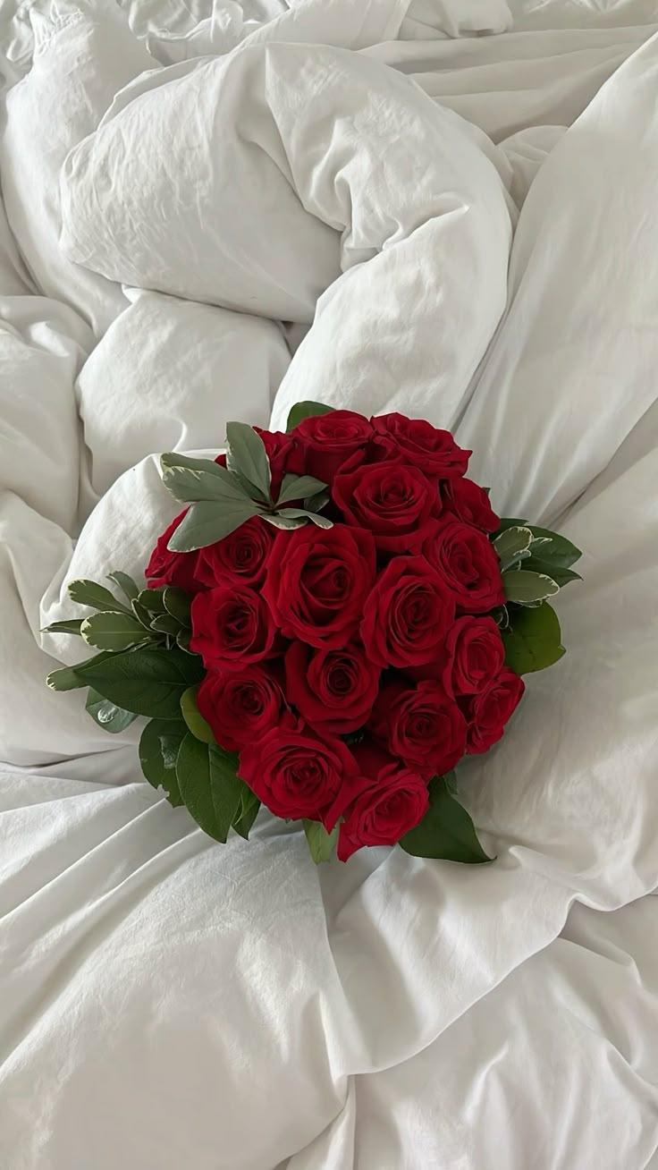 Velvet Caress: Luxurious Rose Ensemble
